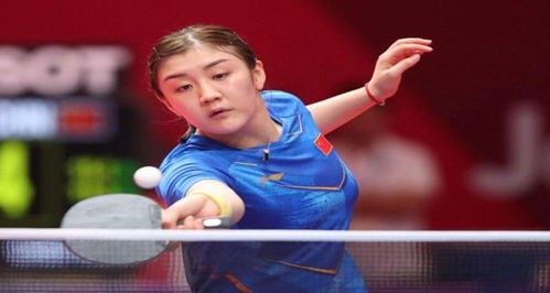 场面拉开 场面拉开