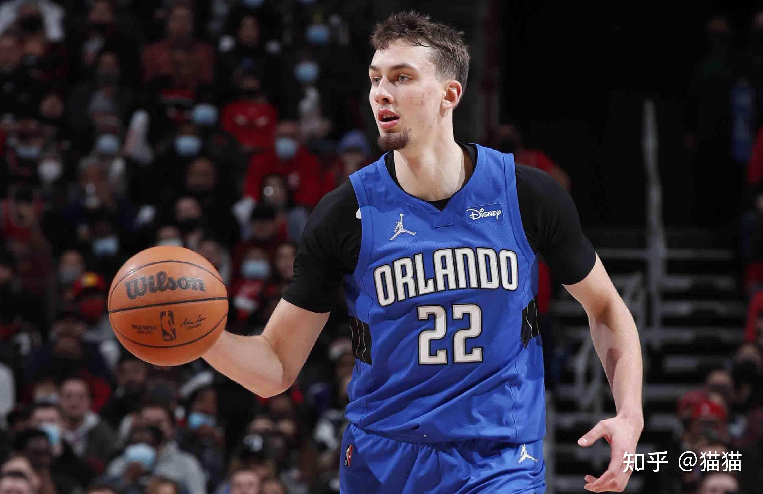 企鹅王国宝 企鹅王国宝